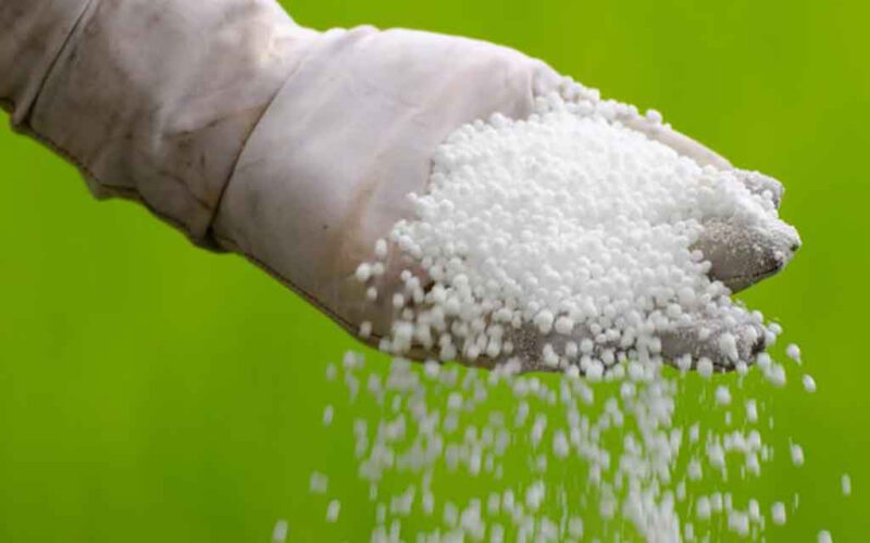 रासायनिक मल आपूर्ति भएपछि किसान उत्साहित