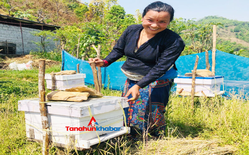 चुनाव हारेपछि सफलतातर्फ लम्किएकी ममिता