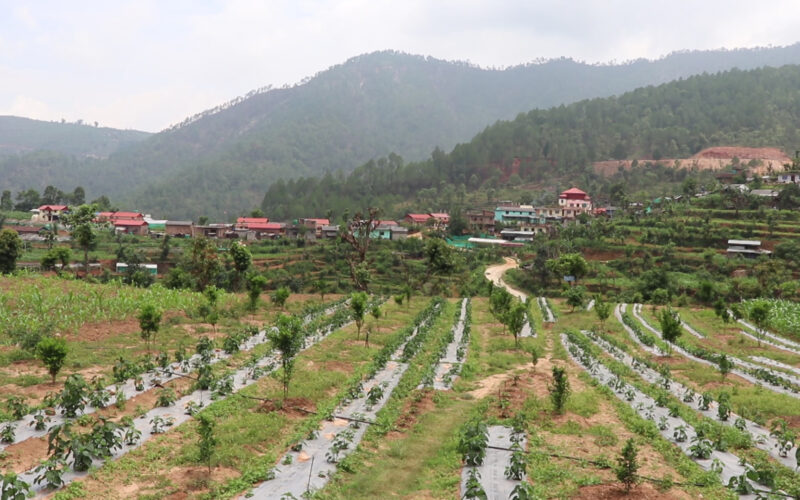 बजेटमा कृषिका नयाँ कार्यक्रमहरु